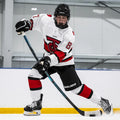 Bauer Supreme F40 Stick Senior
